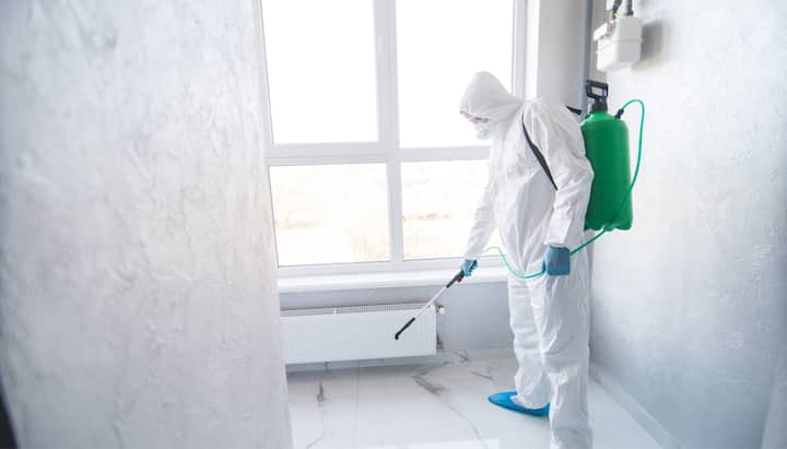 We provide the highest-quality mold inspection, testing, and removal services in the Bellevue, Washington area.